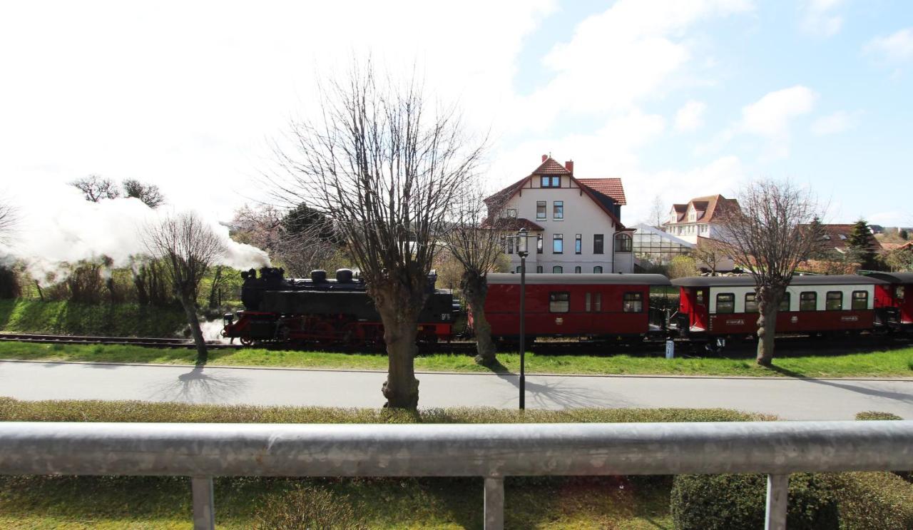 Ferienwohnung Am Molli Nr. 1 Ostseebad Kühlungsborn Eksteriør billede